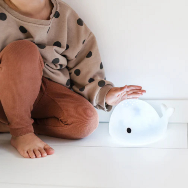 Projector  Moby de walvis