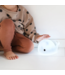 Projector  Moby de walvis