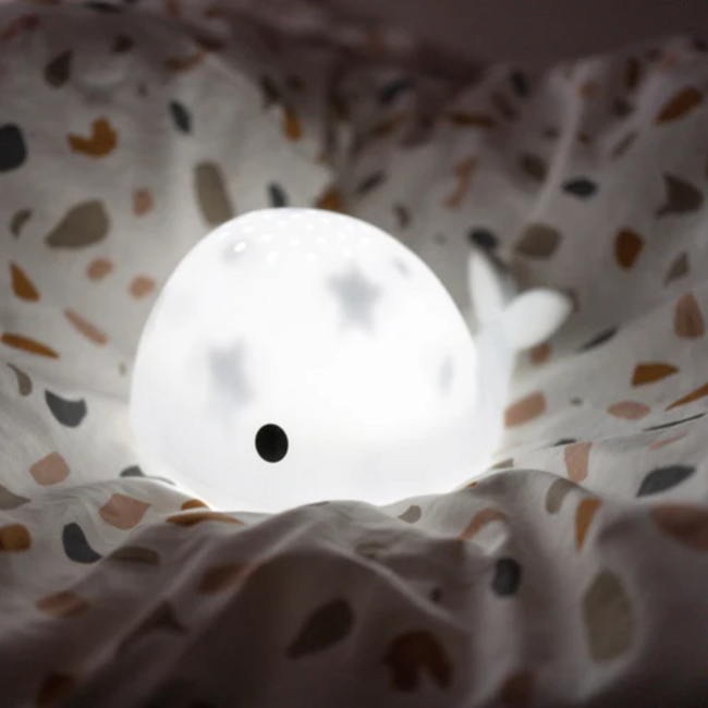 Projector  Moby de walvis