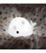 Projector  Moby de walvis