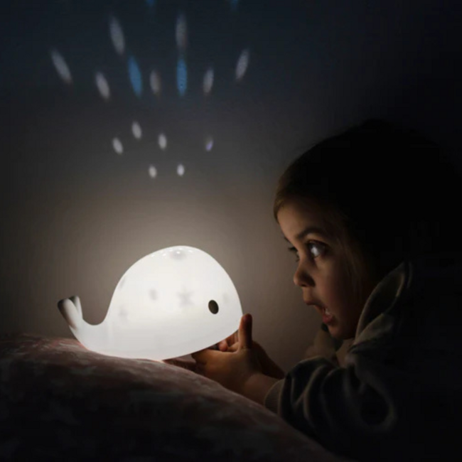 Projector  Moby de walvis