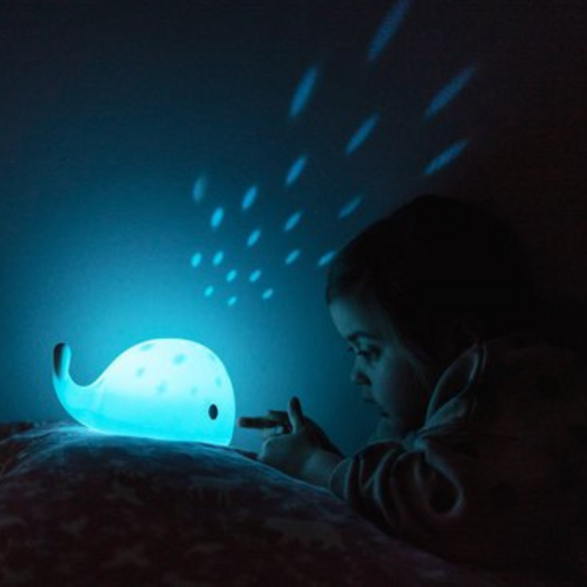 Projector  Moby de walvis