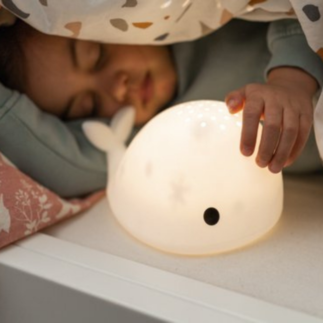 Projector  Moby de walvis