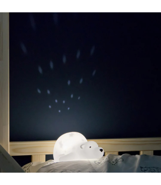 Projector  Björn de beer