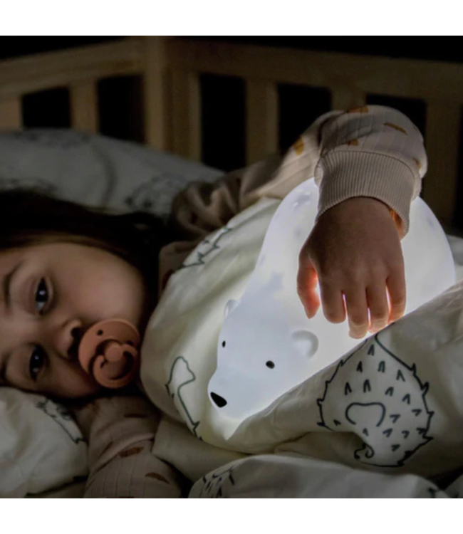 Projector  Björn de beer