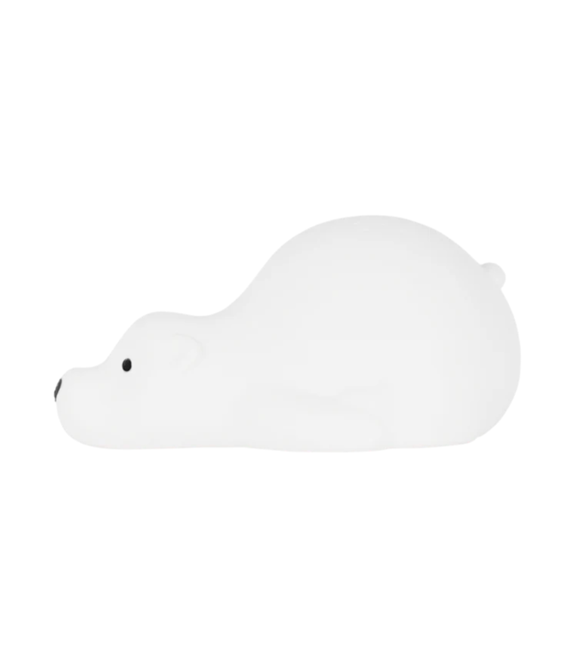 Projector  Björn de beer