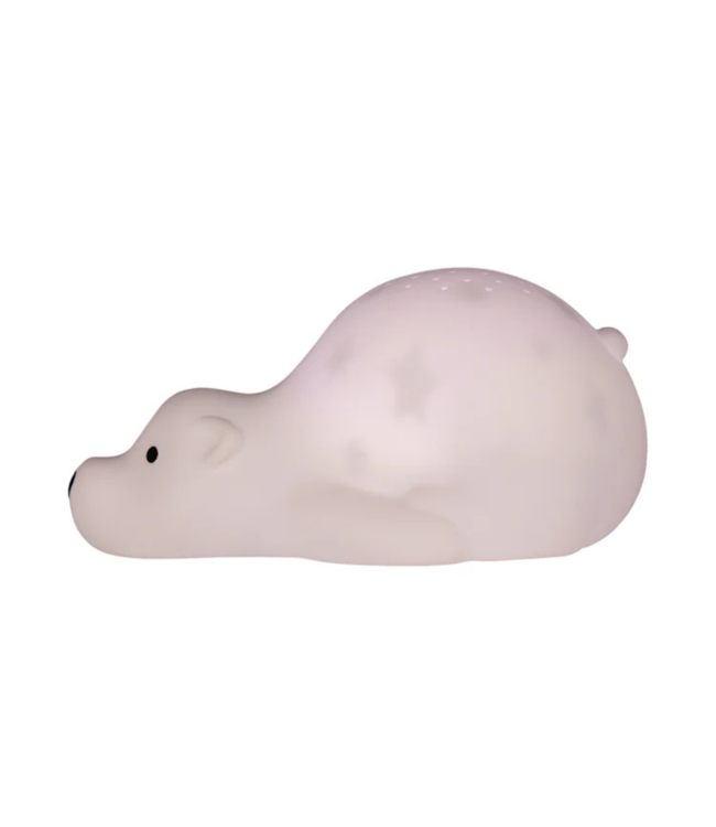 Projector  Björn de beer