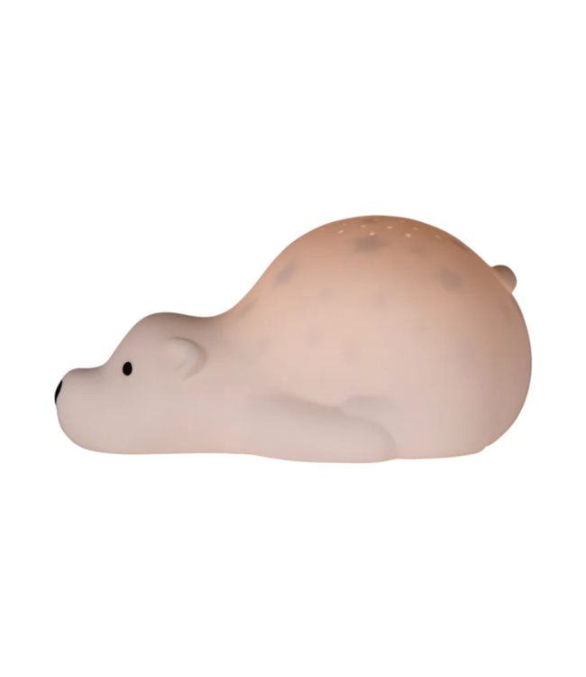 Projector  Björn de beer