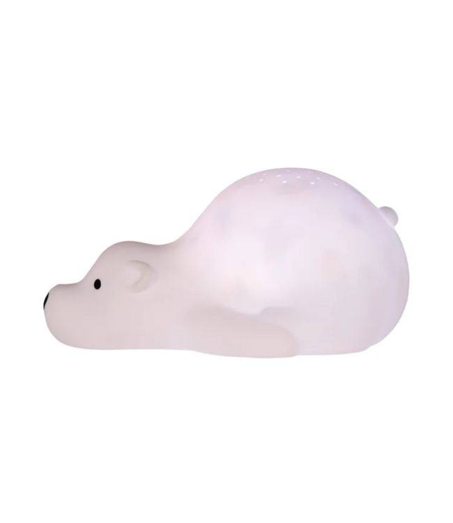 Projector  Björn de beer