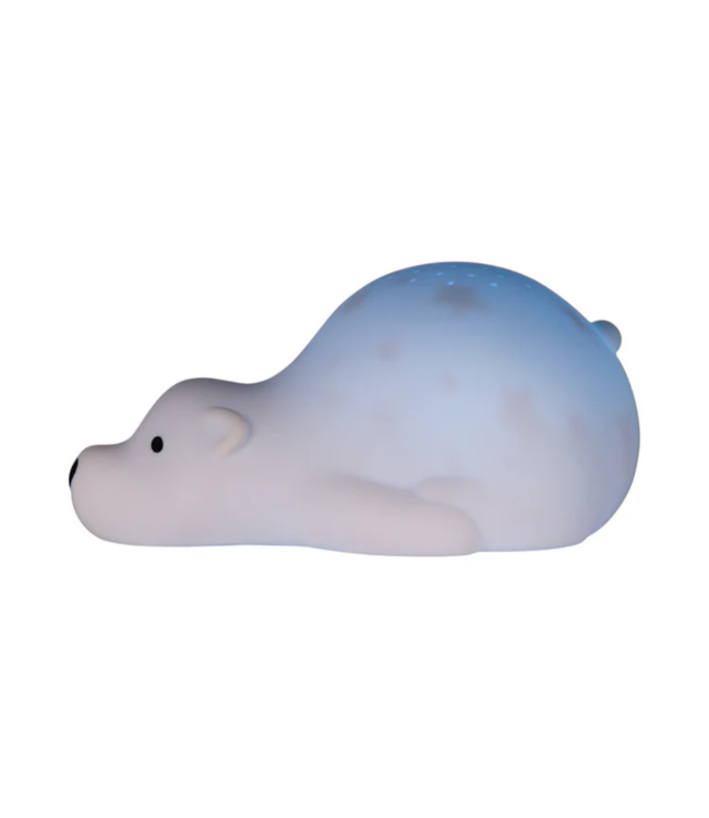 Projector  Björn de beer