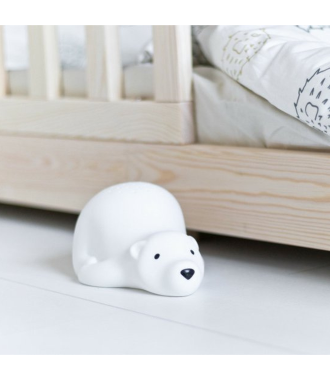 Projector  Björn de beer