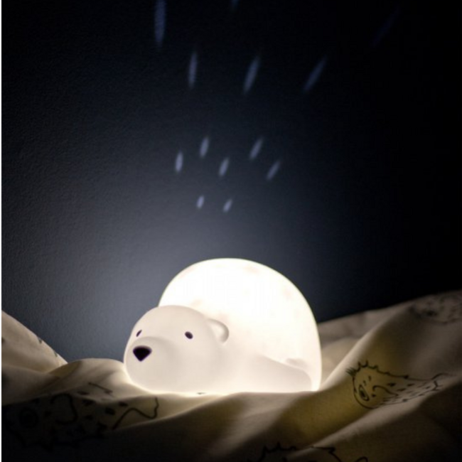 Projector  Björn de beer