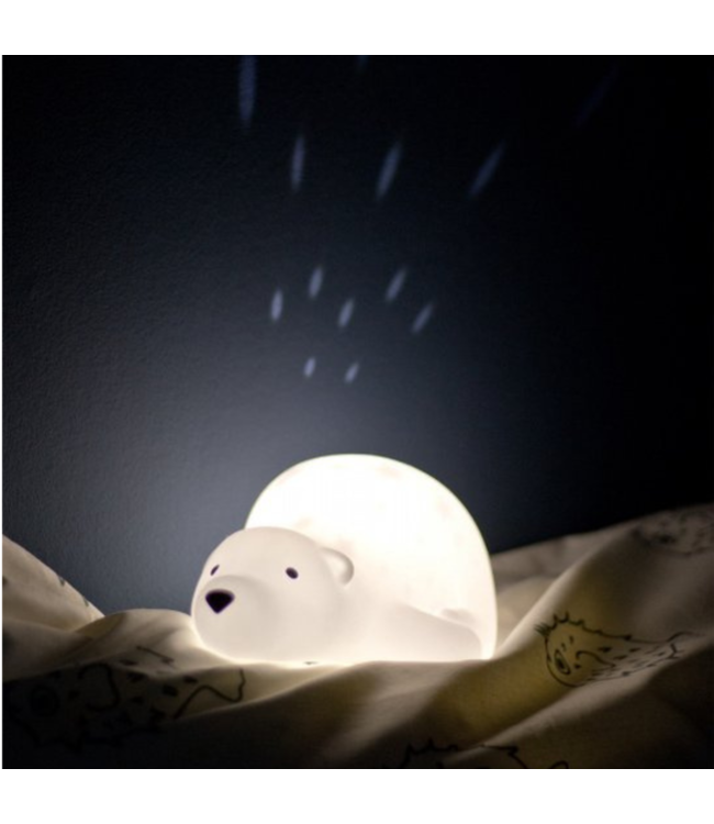 Projector  Björn de beer