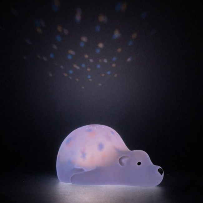 Projector  Björn de beer