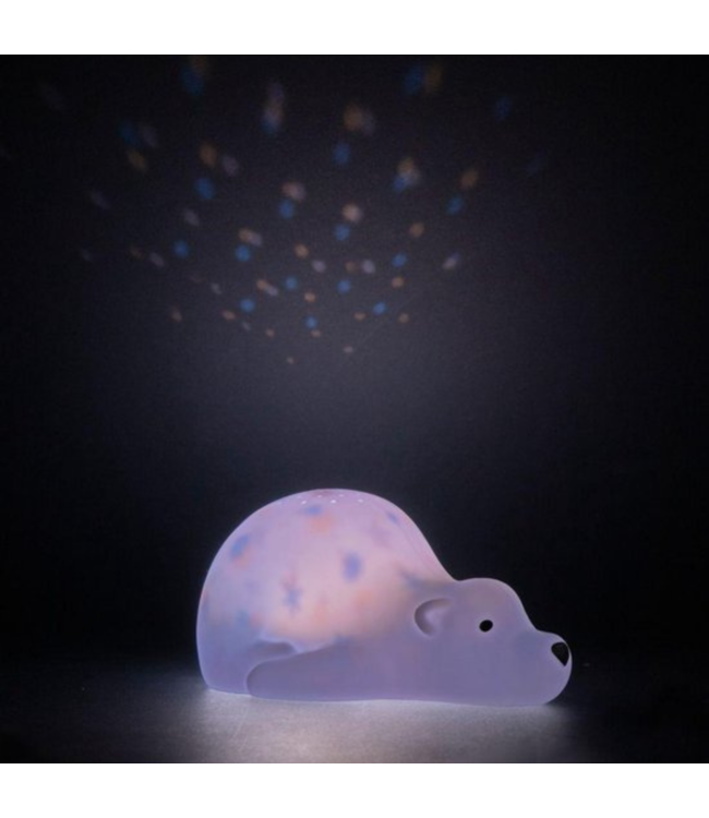 Projector  Björn de beer