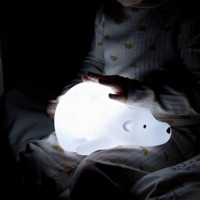 Projector  Björn de beer