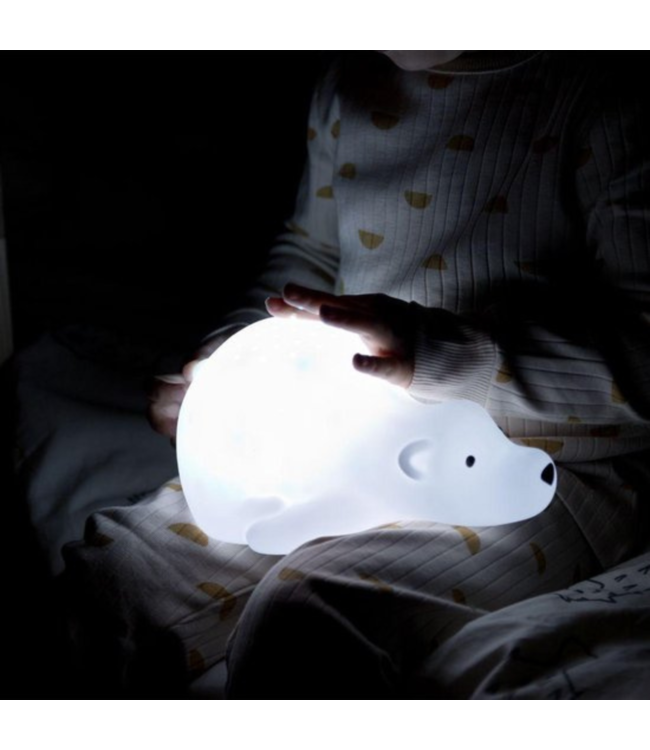 Projector  Björn de beer