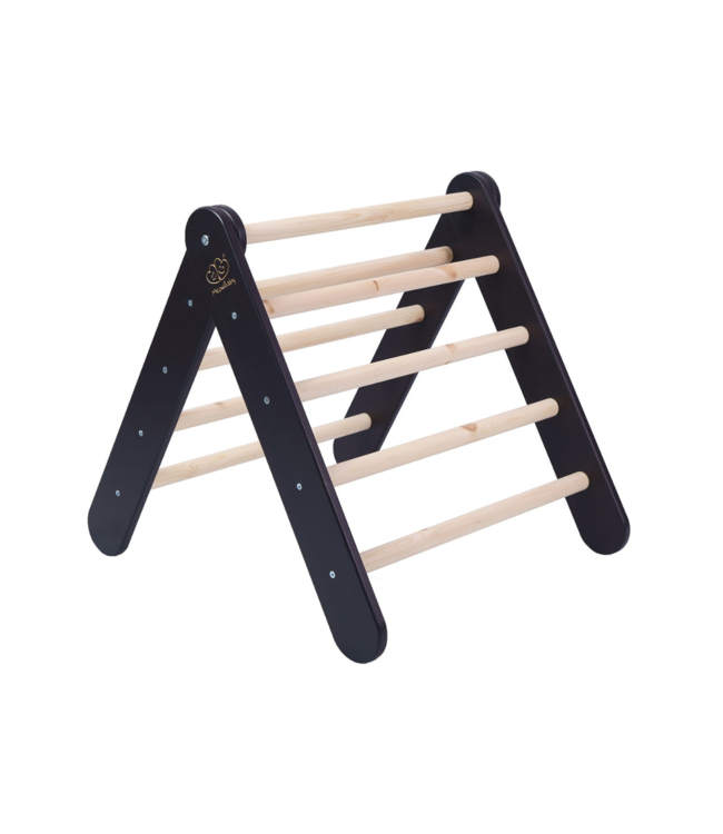 Klimrek | Klimladder | Zwart met roze tent