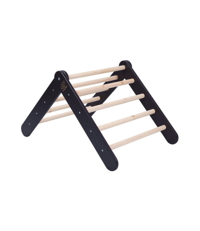 Klimrek | Klimladder | Zwart met roze tent