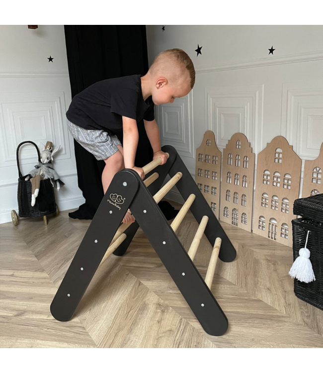 Klimrek | Klimladder | Zwart met roze tent