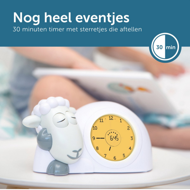 Slaaptrainer Sam het schaap | Grijs