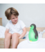Slaaptrainer Pam de pinguïn | Grijs
