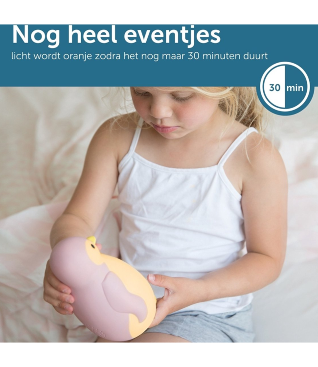 Slaaptrainer Pam de pinguïn | Roze