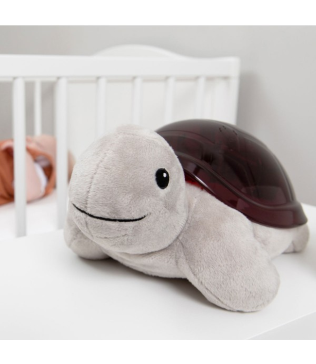 Sterrenhemel projector Tim de schildpad