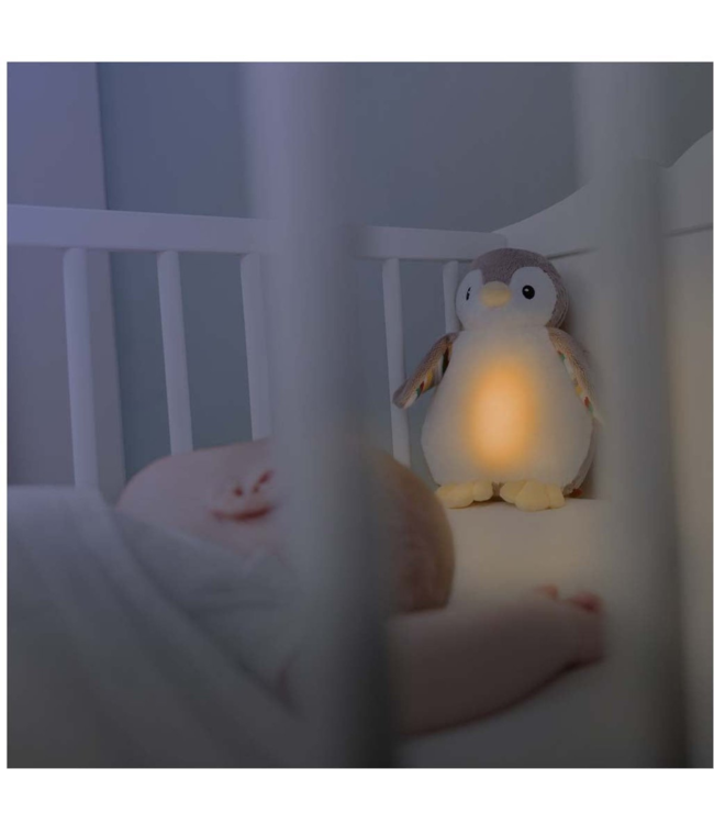 Hartslagknuffel Phoebe pinguin