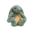 Ro het groene knuffelkonijn met hartslag en licht