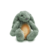 Ro het groene knuffelkonijn met hartslag en licht