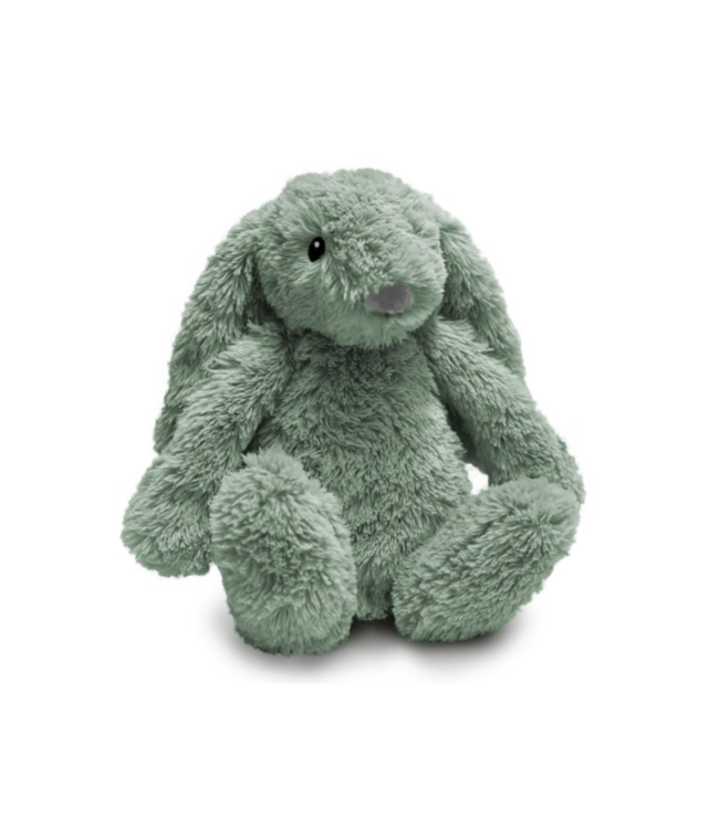 Ro het groene knuffelkonijn met hartslag en licht