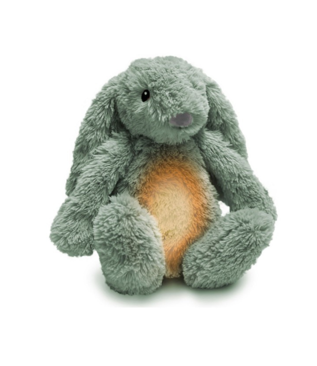 Ro het groene knuffelkonijn met hartslag en licht