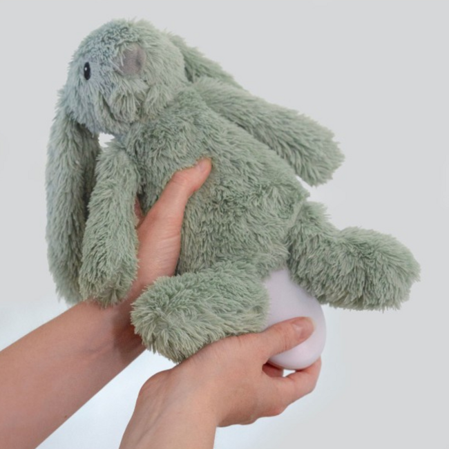 Ro het groene knuffelkonijn met hartslag en licht