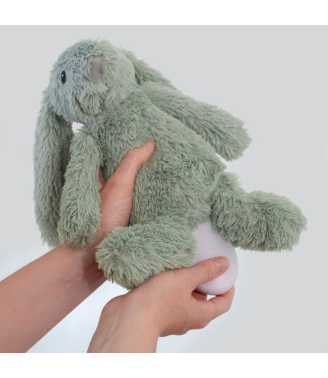 Ro het groene knuffelkonijn met hartslag en licht