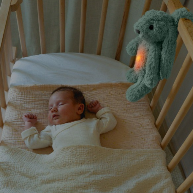 Ro het groene knuffelkonijn met hartslag en licht