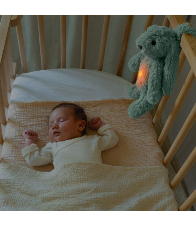 Ro het groene knuffelkonijn met hartslag en licht