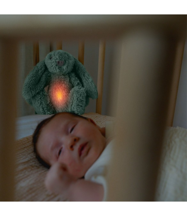 Ro het groene knuffelkonijn met hartslag en licht