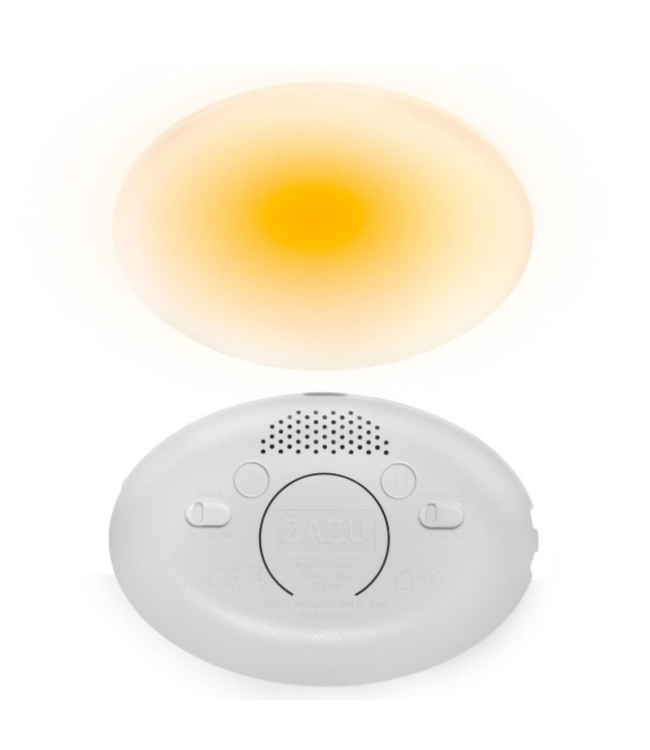 Ro het groene knuffelkonijn met hartslag en licht