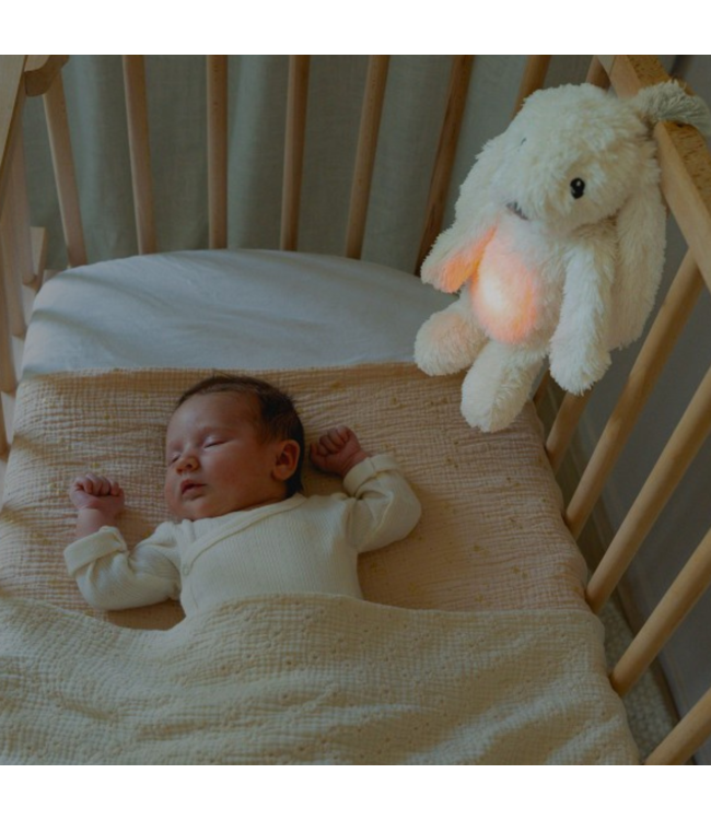 Ro het witte knuffelkonijn met hartslag en licht