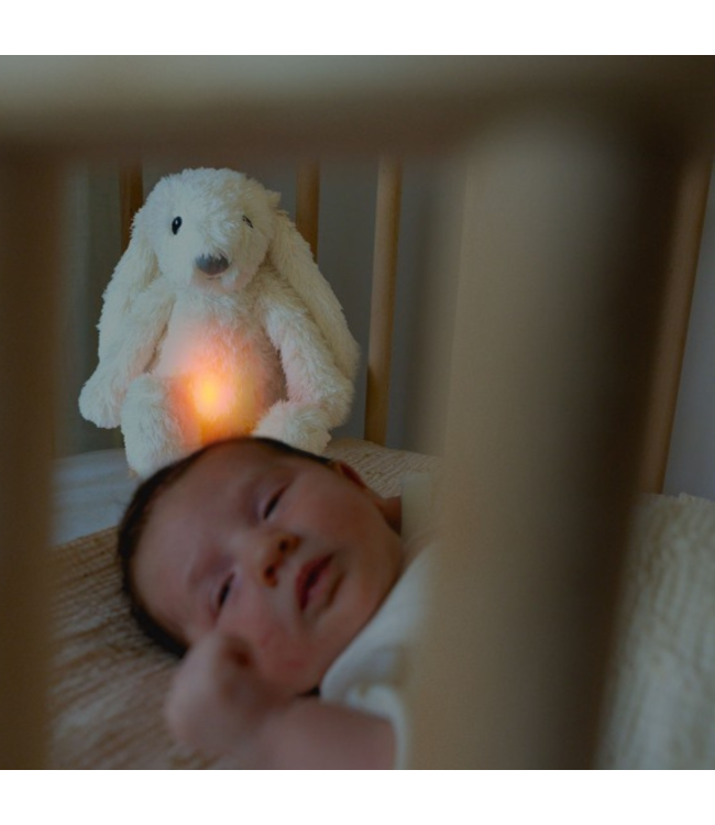 Ro het witte knuffelkonijn met hartslag en licht