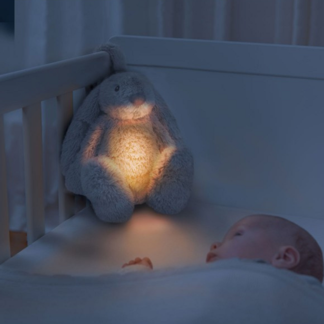 Ro het witte knuffelkonijn met hartslag en licht