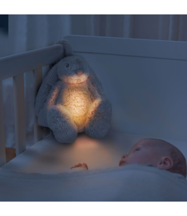 Ro het witte knuffelkonijn met hartslag en licht