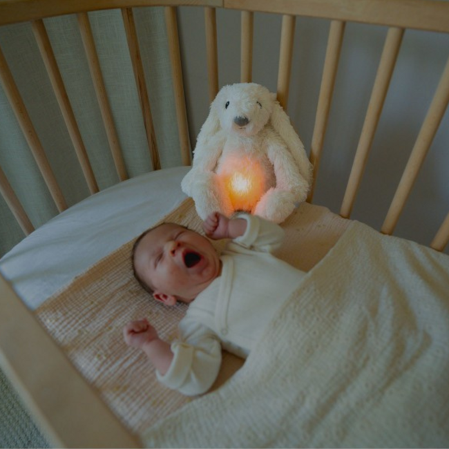 Ro het witte knuffelkonijn met hartslag en licht