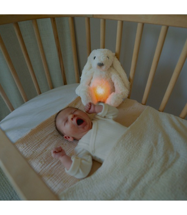 Ro het witte knuffelkonijn met hartslag en licht
