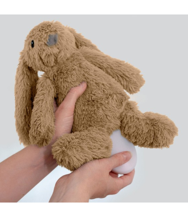 Ro het knuffelkonijn met hartslag en zacht licht
