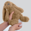 Ro het knuffelkonijn met hartslag en zacht licht