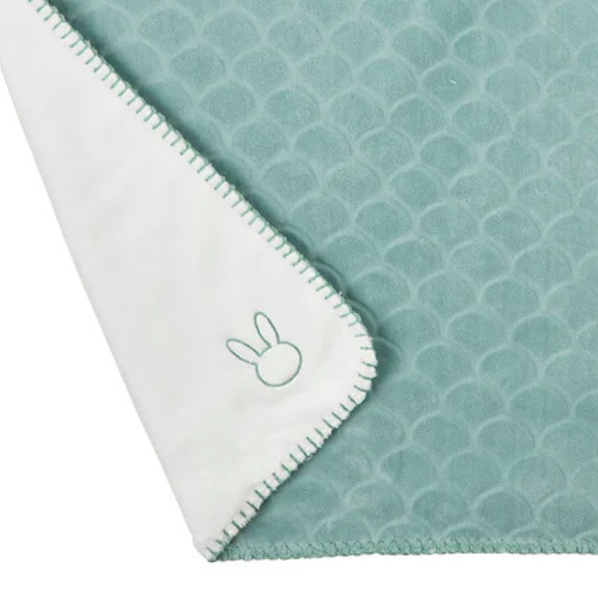 https://cdn.webshopapp.com/shops/353549/files/471762327/file.jpg