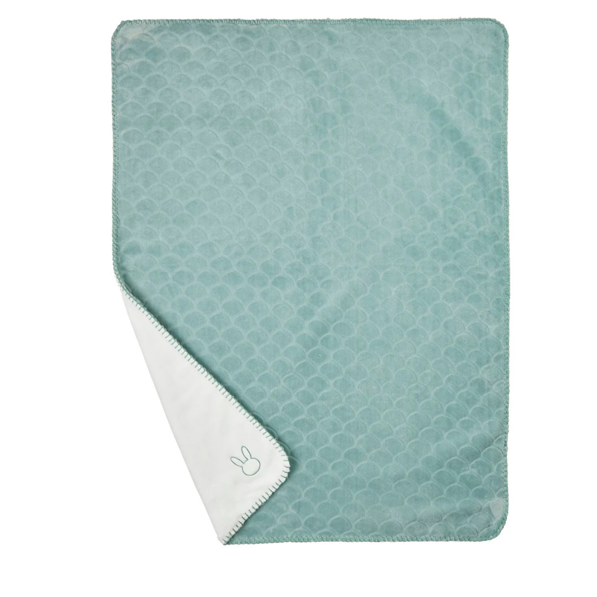 https://cdn.webshopapp.com/shops/353549/files/471762329/file.jpg