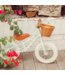 Mintgroene 12 inch loopfiets met rieten mand en verstelbaar stuur